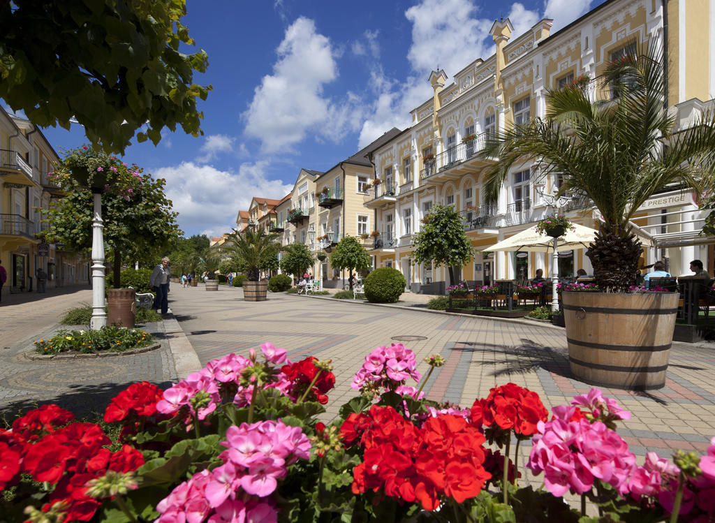 Dr. Adler Spa & Kurhotel Франтишкови-Лазне Экстерьер фото