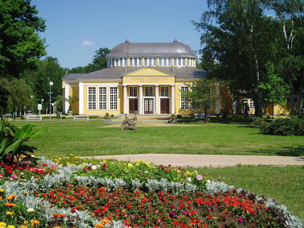 Dr. Adler Spa & Kurhotel Франтишкови-Лазне Экстерьер фото