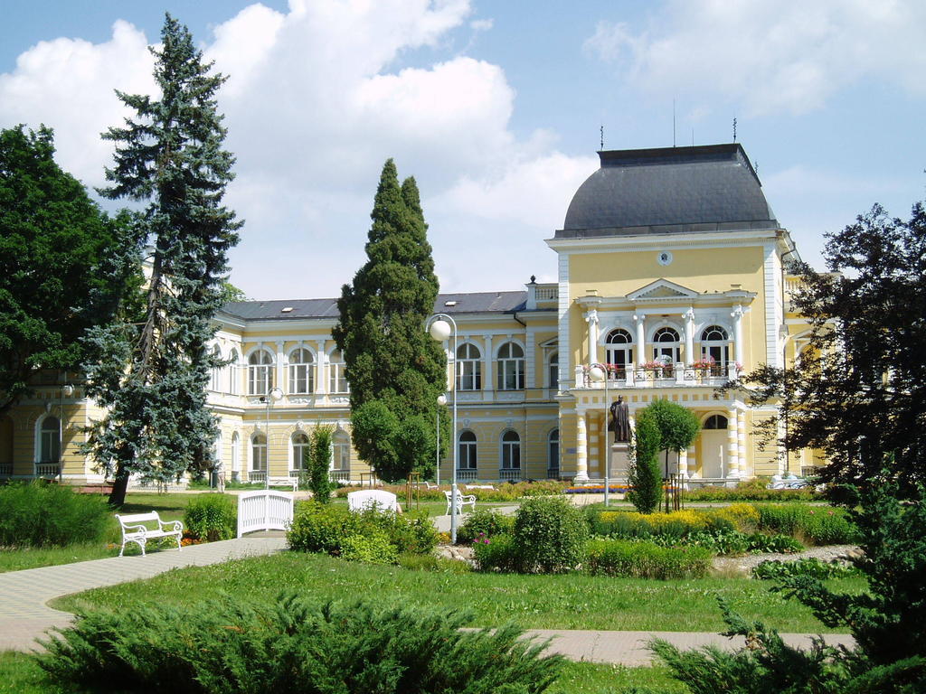 Dr. Adler Spa & Kurhotel Франтишкови-Лазне Экстерьер фото